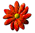 Purty flower....OOH!